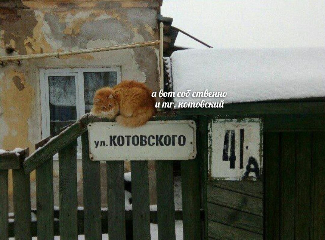 а вот coo ственно и котобский