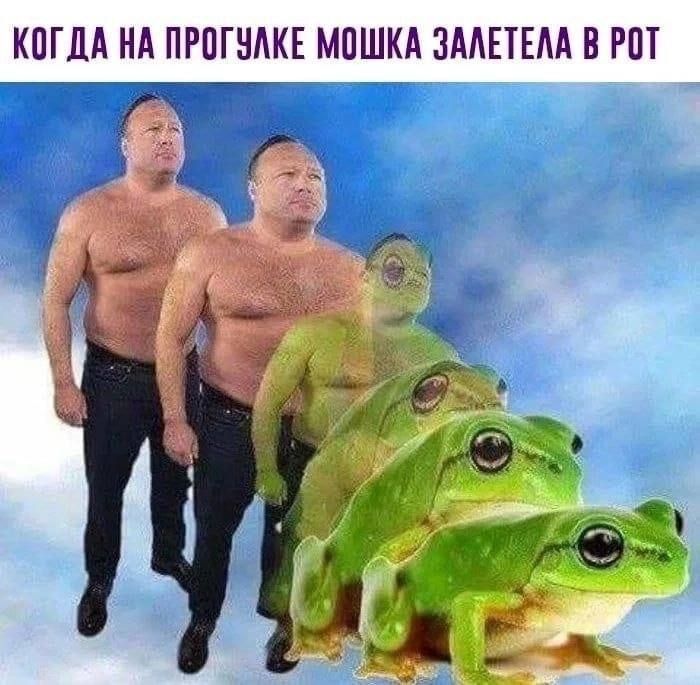 КОГДА НА ПРОГУАКЕ МОШКА ЗАЛЕТЕЛА В РОТ a