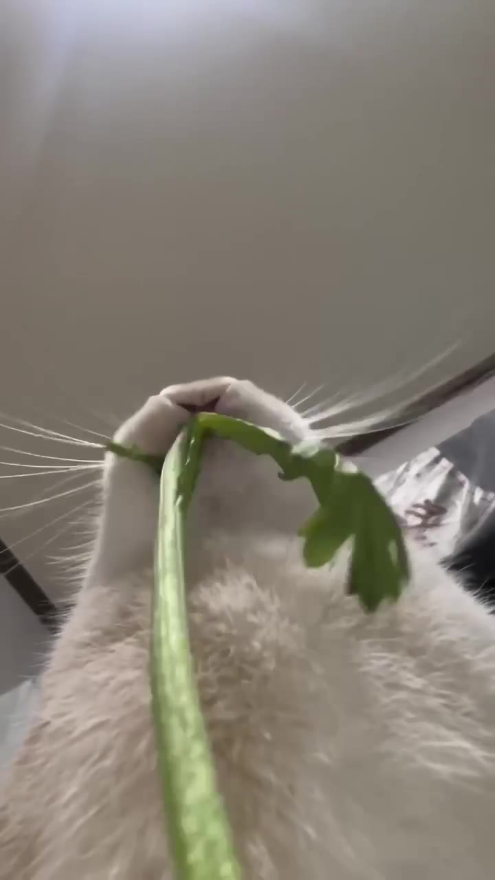 1 4