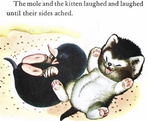 The mole and the kitten laughed and laughed until their sides ached.