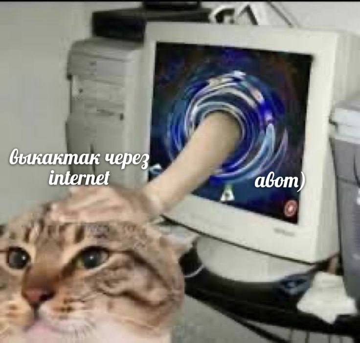 быкактак через авот