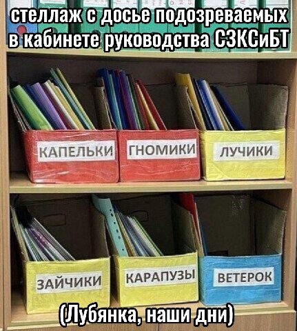 ‘стеллаж с досье подозреваемь руководства КАПЕЛЬКИ ГНОМИКИ ЛУЧИКИ КАРАПУЗЫ! ВЕТЕРОК К Я наши ДНИ)