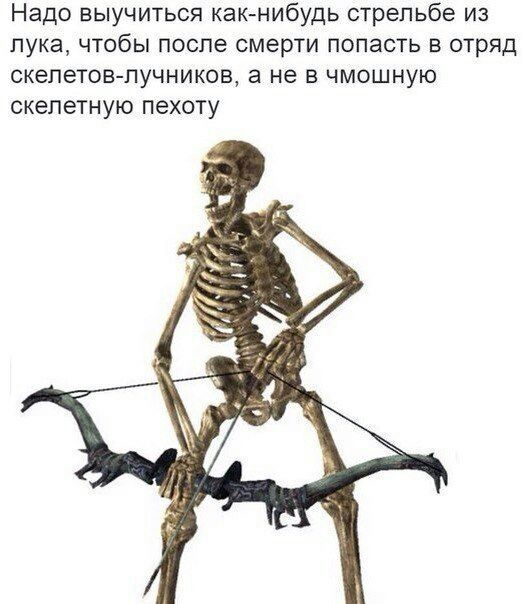 Надо выучиться как-нибудь стрельбе из лука, чтобы после смерти попасть в отряд скелетов-лучников, а не в чмошную скелетную пехоту У 1