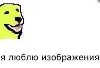 секрет продуктивности прямиком с кафедры НИИ