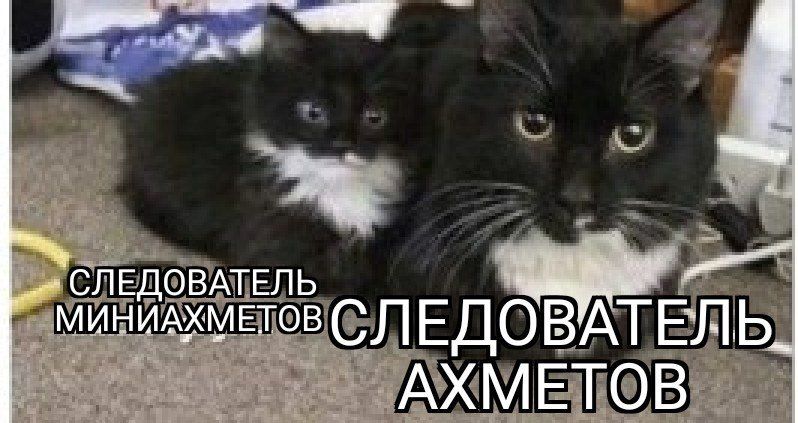 СЛЕДОВАТЕЛЬ МИНМАХМЕТОВ АХМЕТОВ
