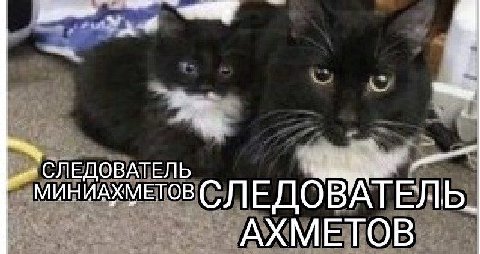 СЛЕДОВАТЕЛЬ МИНМАХМЕТОВ АХМЕТОВ