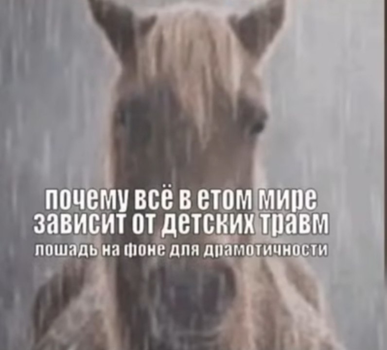 1 почему все в етом мире зависит от детских травм пошадь на для драмотичности