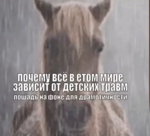 1 почему все в етом мире зависит от детских травм пошадь на для драмотичности