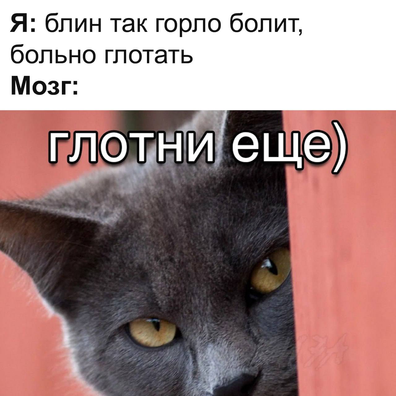 Я: блин так горло болит, больно глотать Мозг: еще)