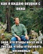 как окурки с окна 7 и зная, что птицы несутих в А, гнёзда. чтобы отпугивать несекомых