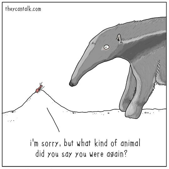 theycantalk.com Afi А [4 AN А sorry, but what kind of animal did you say you Were again?