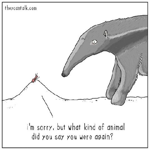 theycantalk.com Afi А [4 AN А sorry, but what kind of animal did you say you Were again?