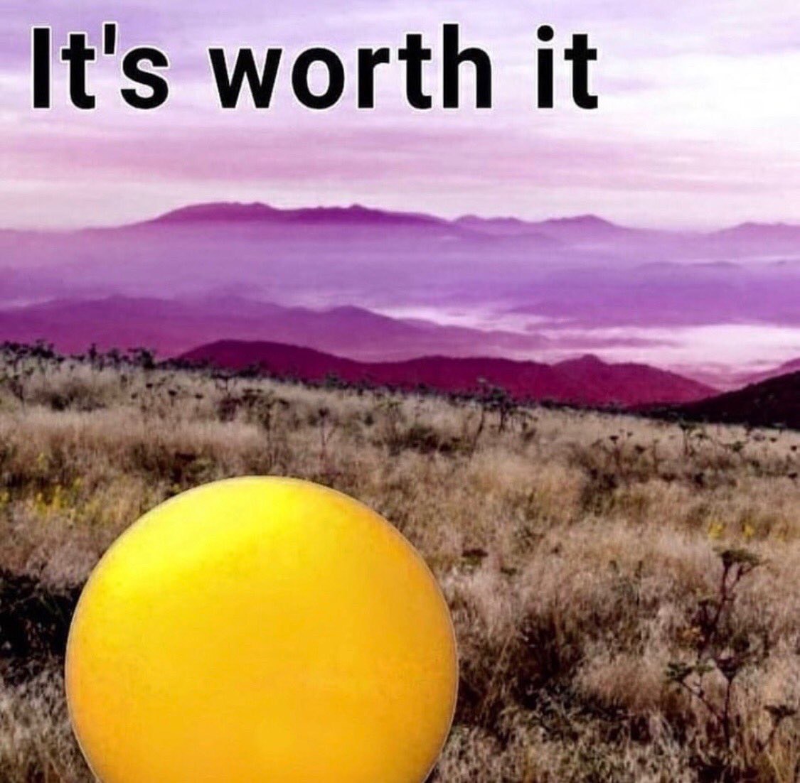 it