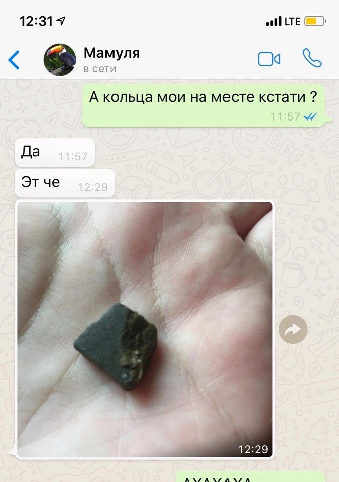 12:31 Я Mamyna в сети А кольца мои на месте кстати Да My 12:29