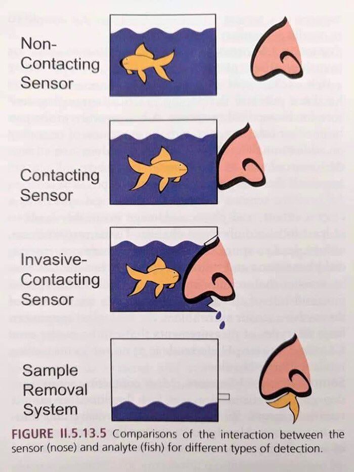 Моп- Contacting Sensor Contacting Sensor Invasive- Contacting Sensor Sample Removal System FIGURE Comparisons of the interaction between the sensor (nose) and analyte (fish) for different types of det