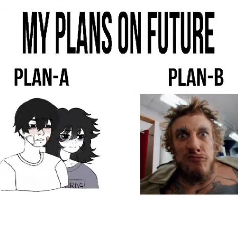 MY PLANS ON FUTURE PLAN-A
