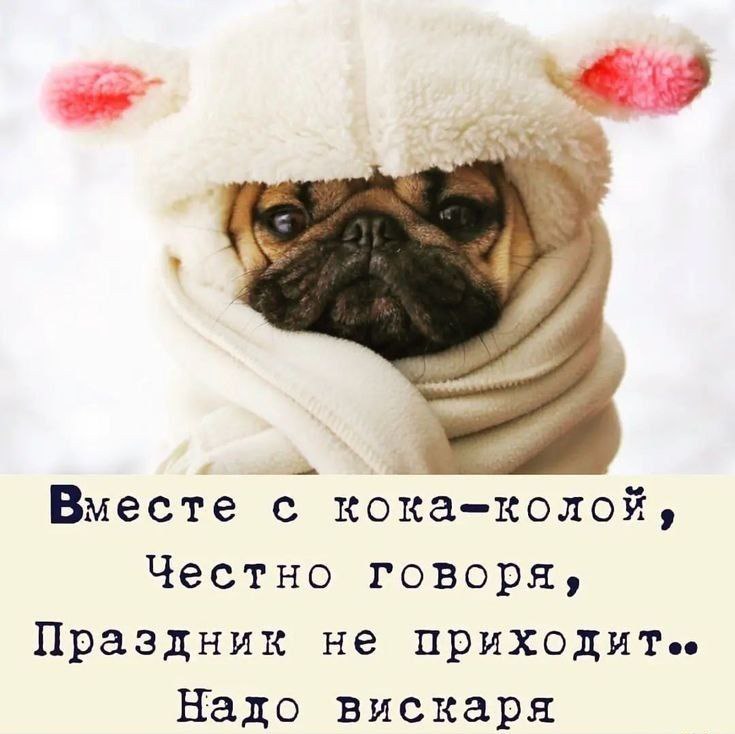 Вместе с кока-колой, Честно говоря, Праздник не приходит.» Надо вискаря