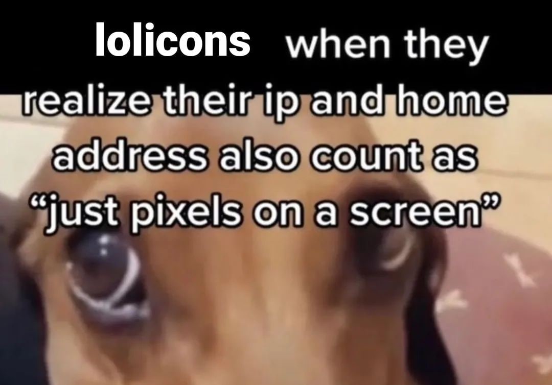 lolicons when they erealize their address also count as “just pixels on a screen”