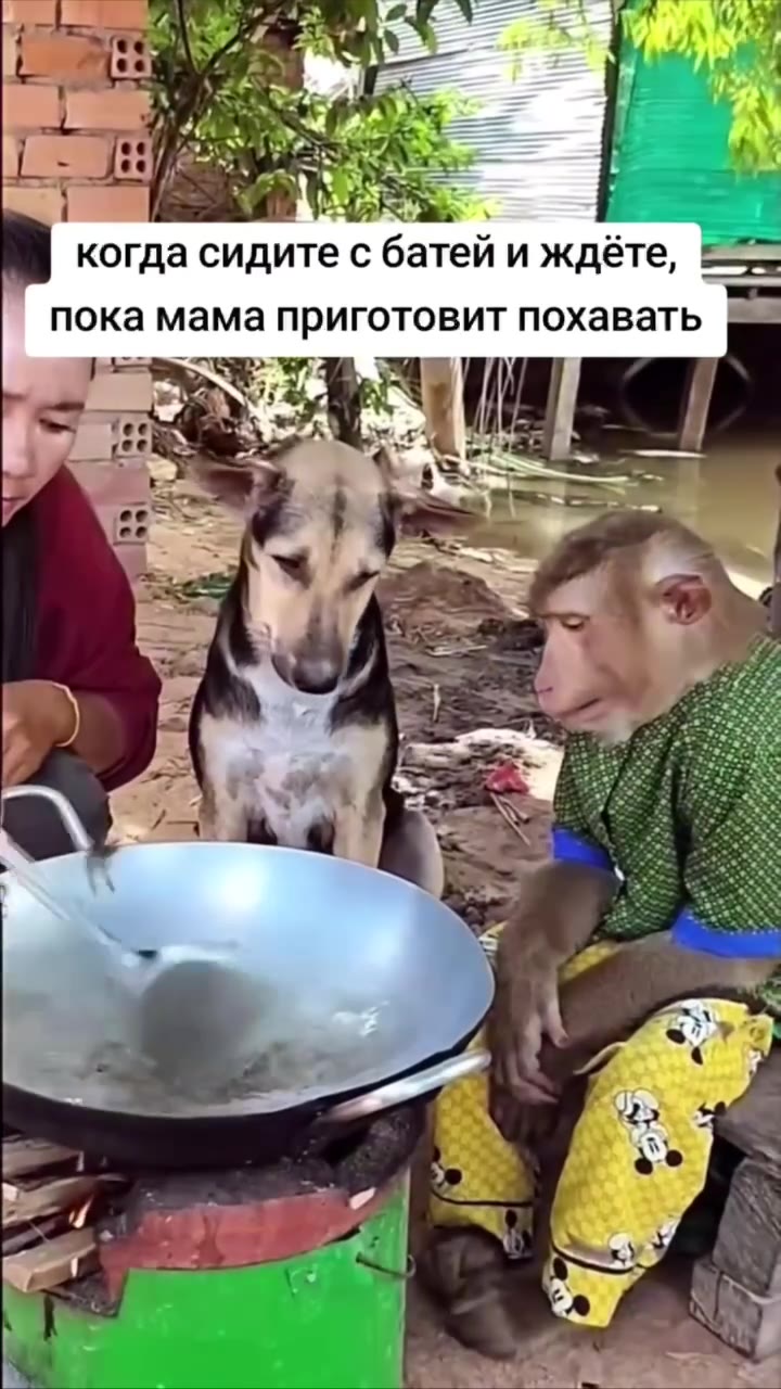 1 когда сидите с батей и ждёте, = пока мама приготовит похавать