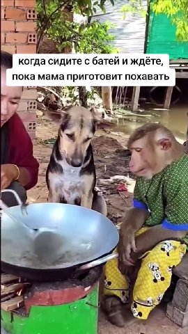 1 когда сидите с батей и ждёте, = пока мама приготовит похавать