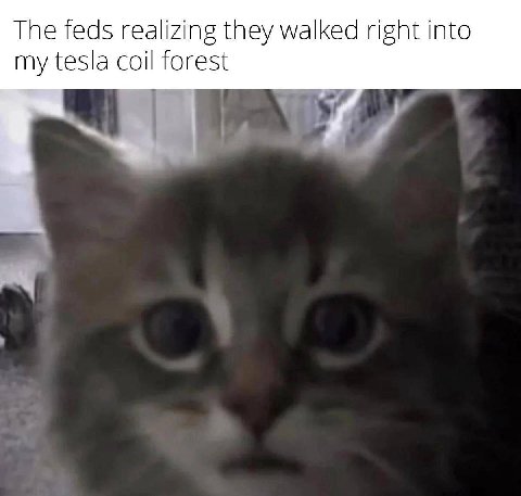 The feds realizing they walked right into my tesla coil forest