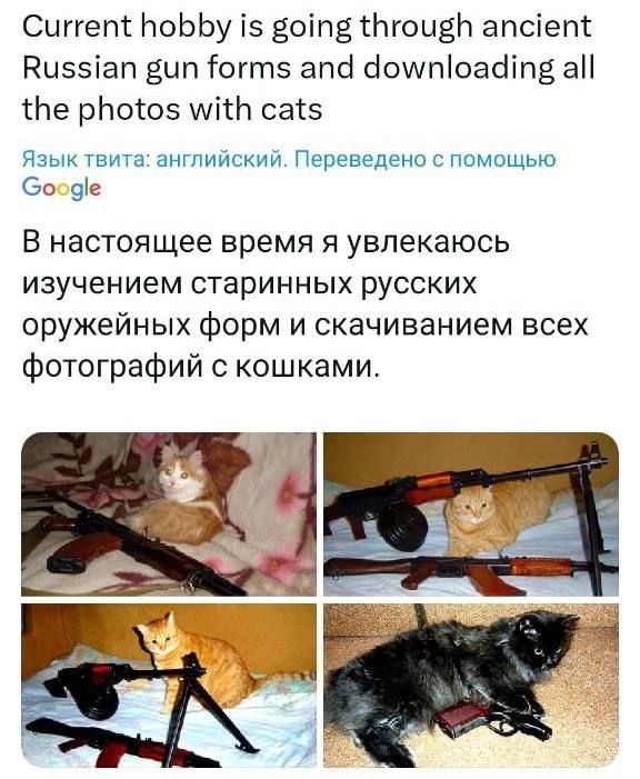 Current hobby is going through ancient Russian gun forms and downloading all the photos with cats Язык твита: английский. Переведено с помощью Google В настоящее время я увлекаюсь изучением старинных 