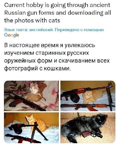 Current hobby is going through ancient Russian gun forms and downloading all the photos with cats Язык твита: английский. Переведено с помощью Google В настоящее время я увлекаюсь изучением старинных 