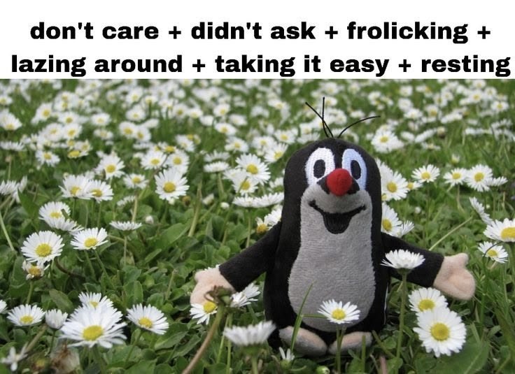 don't саге didn't ask frolicking lazing arou takin it easy resting we 3,