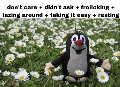 don't саге didn't ask frolicking lazing arou takin it easy resting we 3,