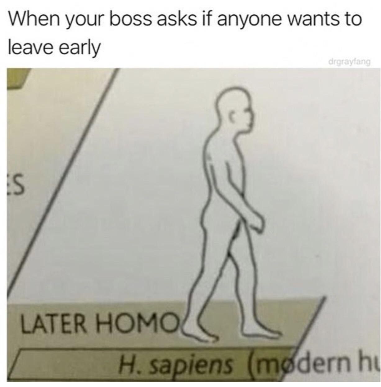 When your boss asks if anyone wants to leave early