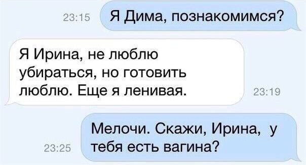 23:15 Я Дима, познакомимся? Я Ирина, не люблю убираться, но готовить люблю. Ещея ленивая. Мелочи. Скажи, Ирина, у тебя есть вагина?