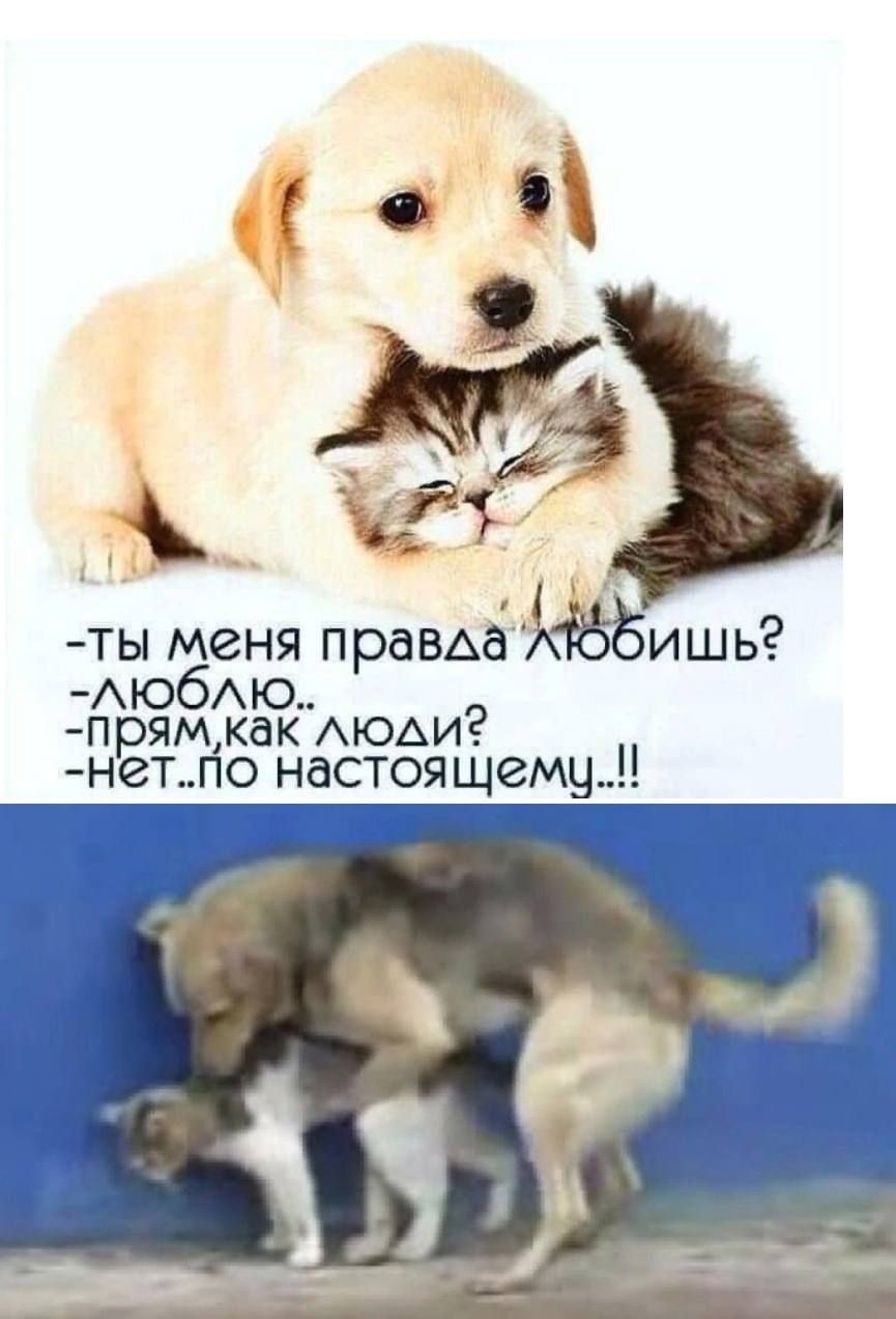 -ты меня люди? -нет.по