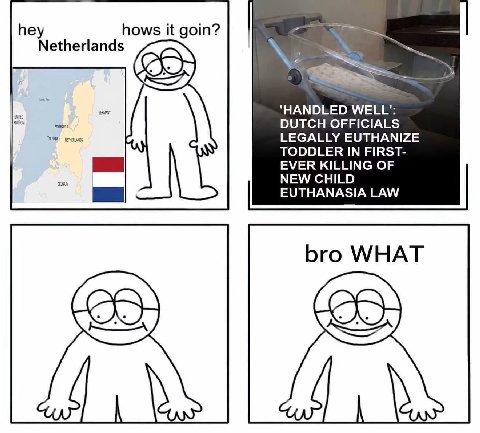 hey hows it goin? Netherlands ‘HANDLED WELL': DUTCH OFFICIALS LEGALLY EUTHANIZE TODDLER IN FIRST- EVER KILLING OF NEW CHILD EUTHANASIA LAW A