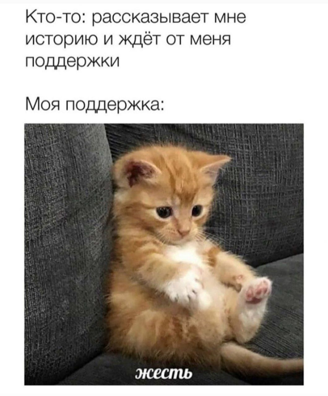 Кто-то: рассказывает мне историю и ждёт от меня поддержки Моя поддержка: жесть