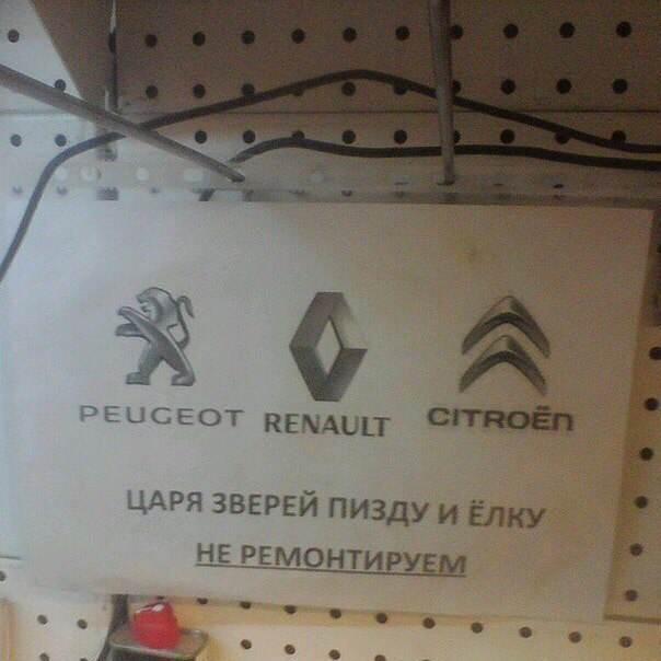 PEUGEOT RENAULT ЦАРЯ ЗВЕРЕЙ ПИЗДУ И ЁЛКУ НЕ РЕМОНТИРУЕМ 7%