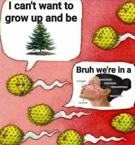can't want to grow up and be 4 were ina