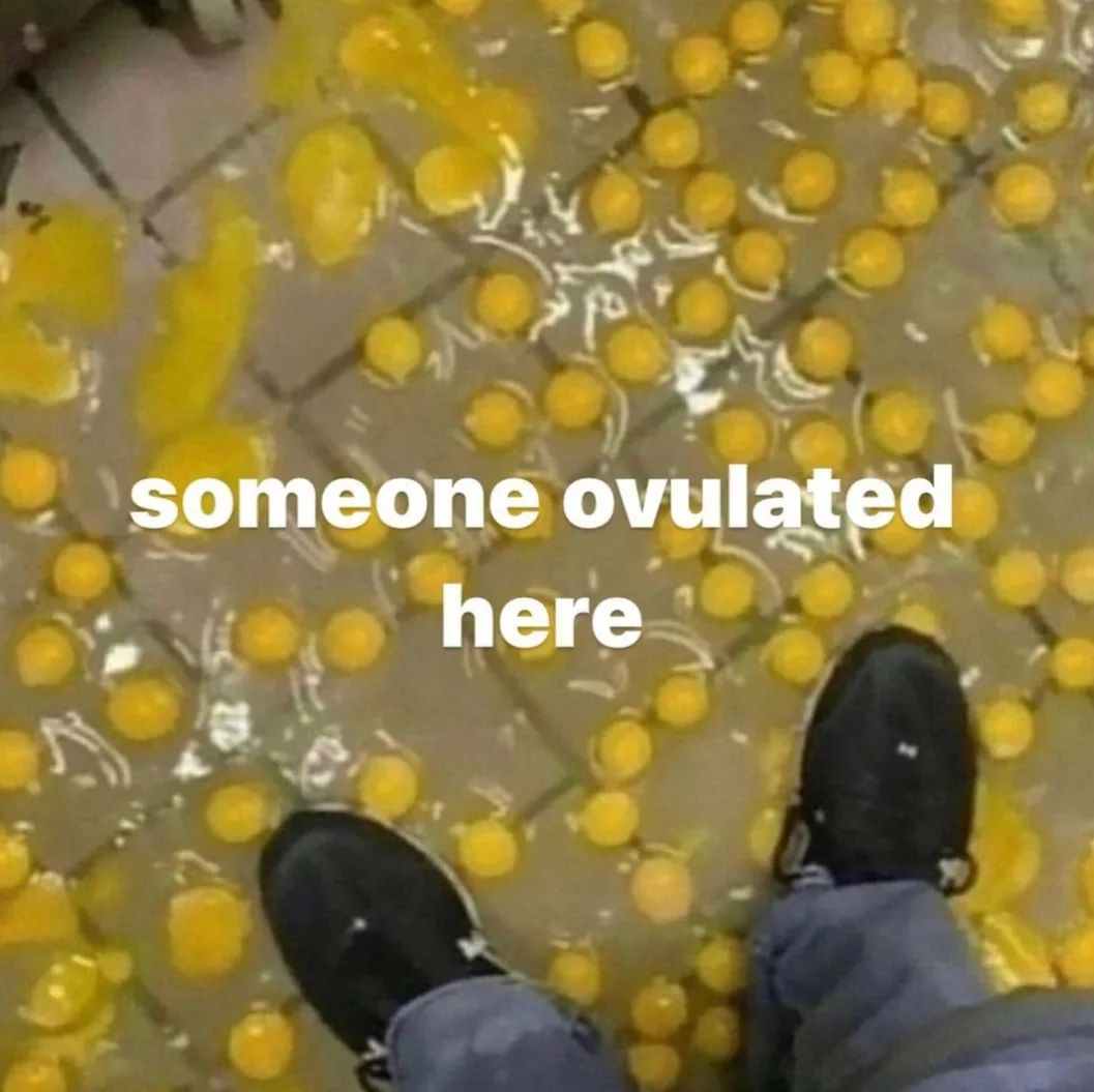 someone ovulated here