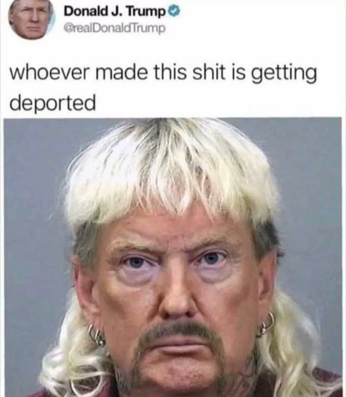 Donald Trump @realDonaldTrump whoever made this shit is getting deported 4