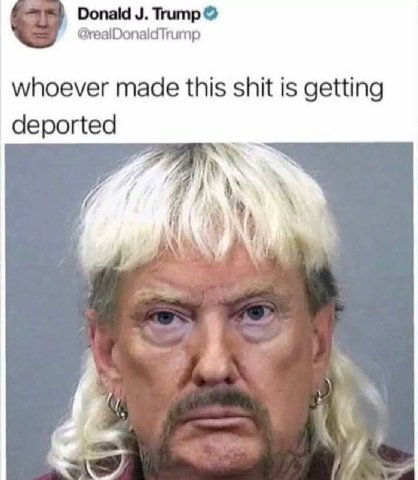Donald Trump @realDonaldTrump whoever made this shit is getting deported 4