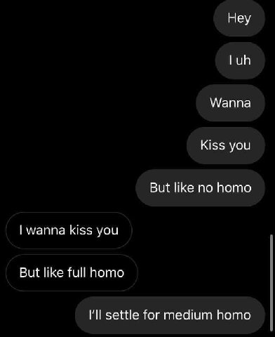 Неу Wanna Kiss you But like no homo wanna kiss you But like full homo settle for medium homo