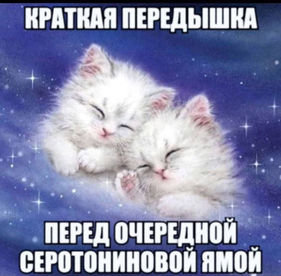КРАТКАЯ ПЕРЕДЫШКА 7 к TIE PEM СЕРОТОНИНОВОЙ AMOK