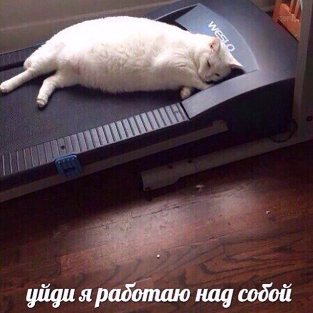 уйди я работаю над содой