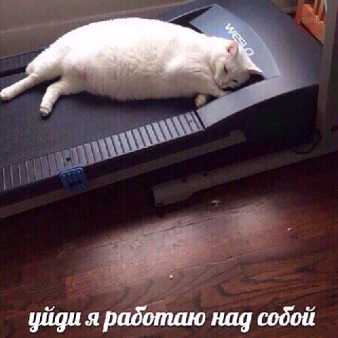 уйди я работаю над содой