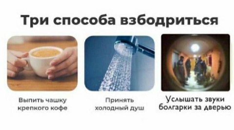 Три способа взбодриться Выпить чашку Принять звуки крепкого кофе холодный душ болгарки за дверью