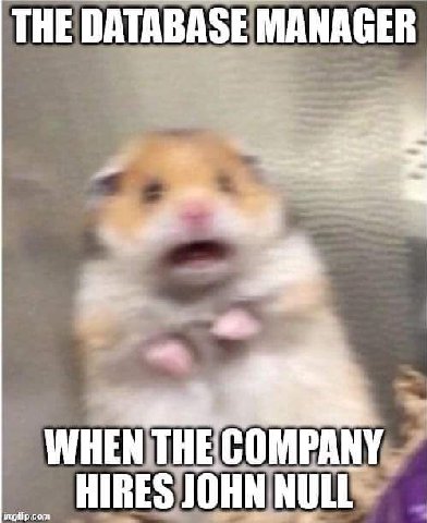 THE DATABASE MANAGER WHEN ТНЕСОМРАМУ HIRES JOHN NULL