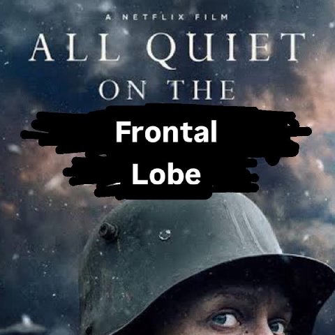 ALL Frontal Lobe