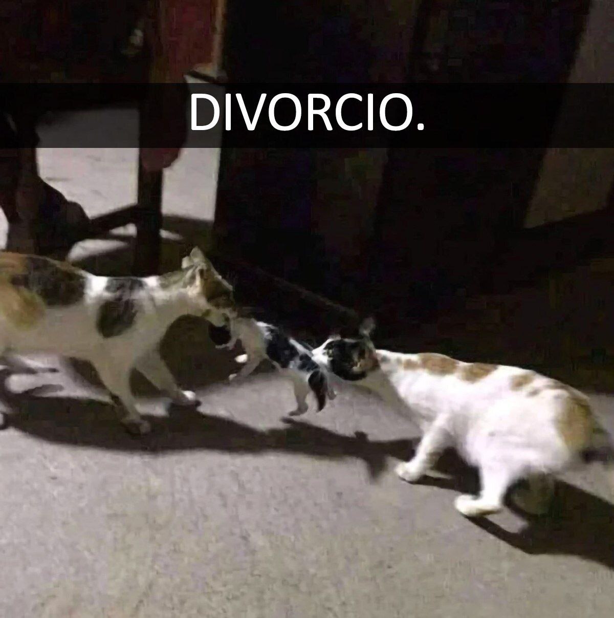 DIVORCIO