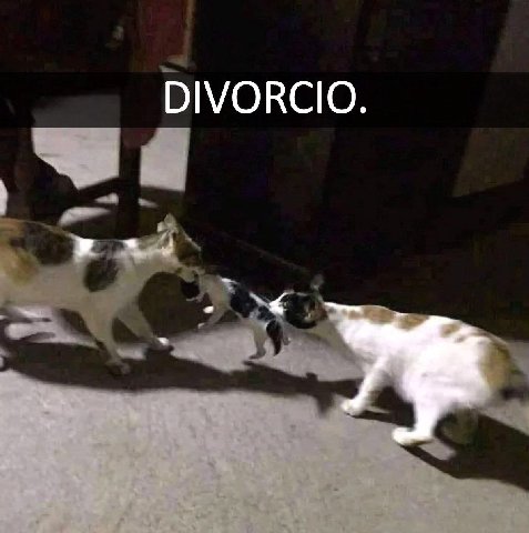DIVORCIO