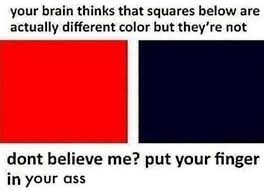 your brain thinks that squares below are actually different color but they’re not dont believe me? put your finger in your ass