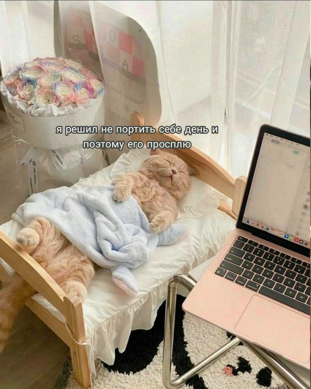 поэтому